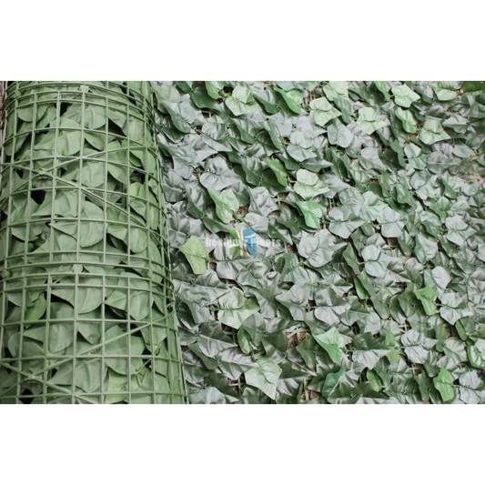 Ivy Leaf Hedging Roll 3x1m