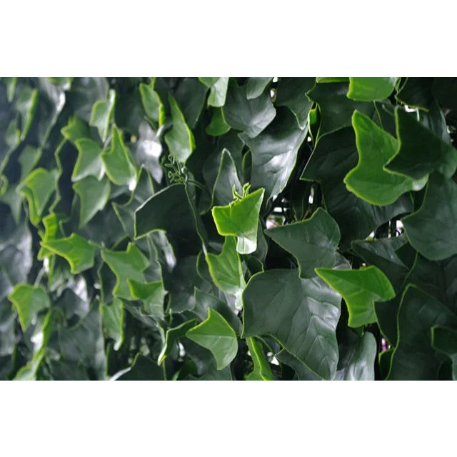 Ivy Leaf Screens/Panels 1x1m UV Stabilized