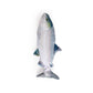 Jittering Sardine Cat Toy Flopping Dancing Fish + Catnip