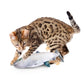Jittering Sardine Cat Toy Flopping Dancing Fish + Catnip
