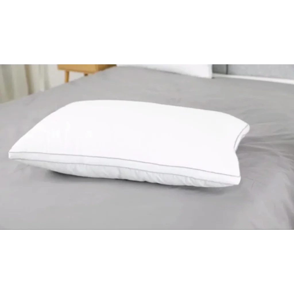 King Size Pillows Set of 2 with Free 2x King Pillow Cases