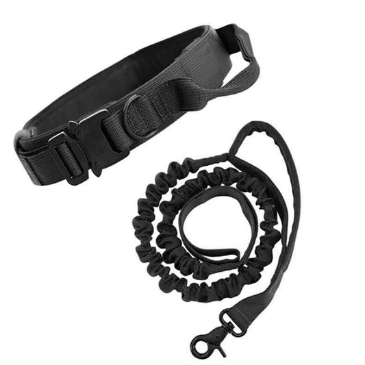 L Black Hands-Free Dog Leash with Adjustable Waist Belt