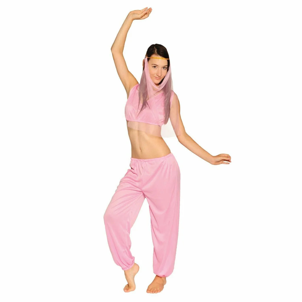 Ladies Arabian Princess Costume Belly Dancer Genie Fancy