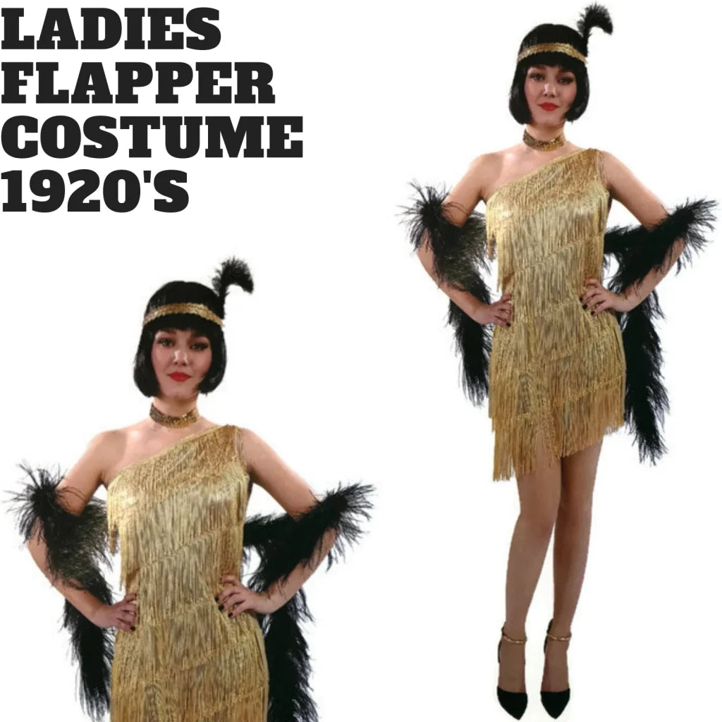 Ladies Flapper Costume Charleston Gatsby Chicago Fancy