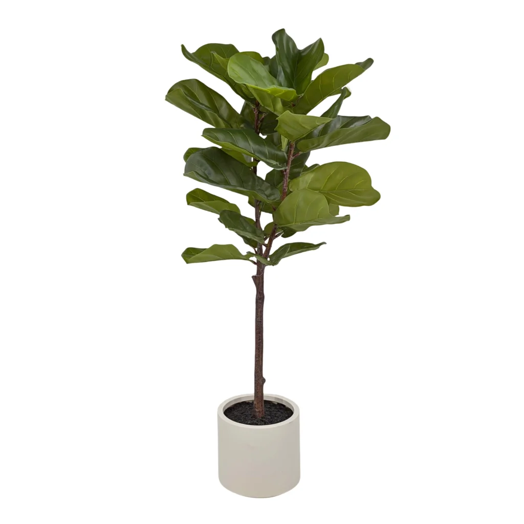 Large Artificial Fiddleleaf Tree in Pot 130cm - Home &