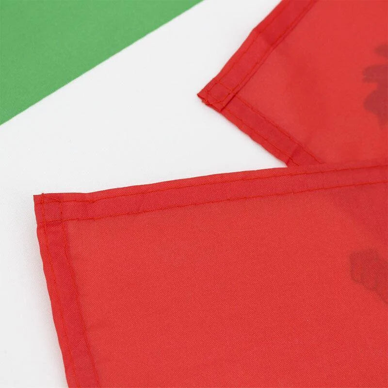 Large Mexico Mexican Flag Heavy Duty Outdoor Mx 90X150Cm