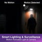Laser Wall Light Camera Twin Pack