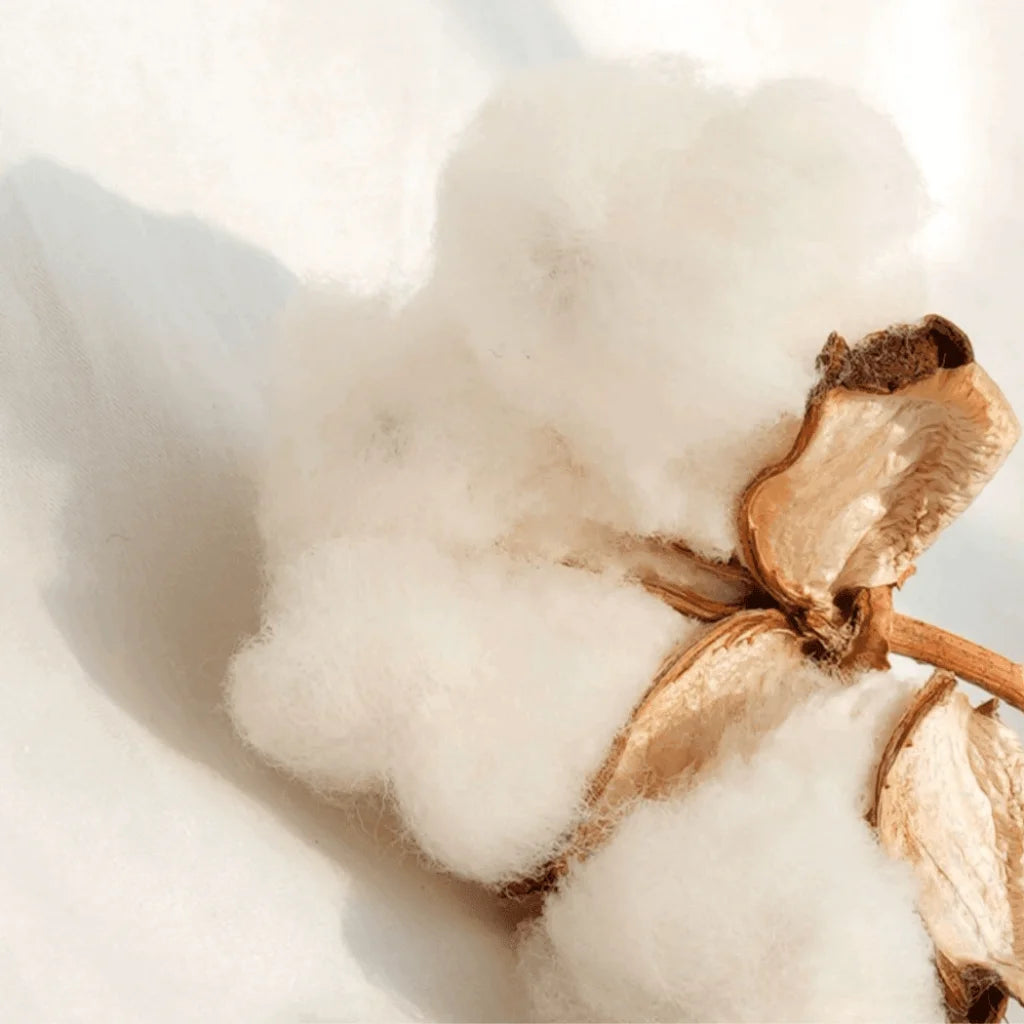 Lazy Goose Baby Cotton Pillow Case-1973194206927261701