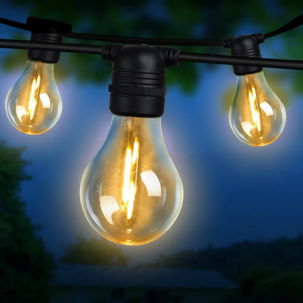 LED Festoon String Lights 41 m 40 Bulbs A19