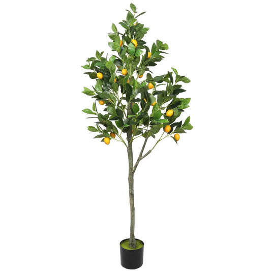 Lemon Tree (Potted) with Lemons 150cm - Home & Garden