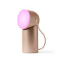 Lexon Orbe Portable Led Lamp With Moving Head - Gold - Home