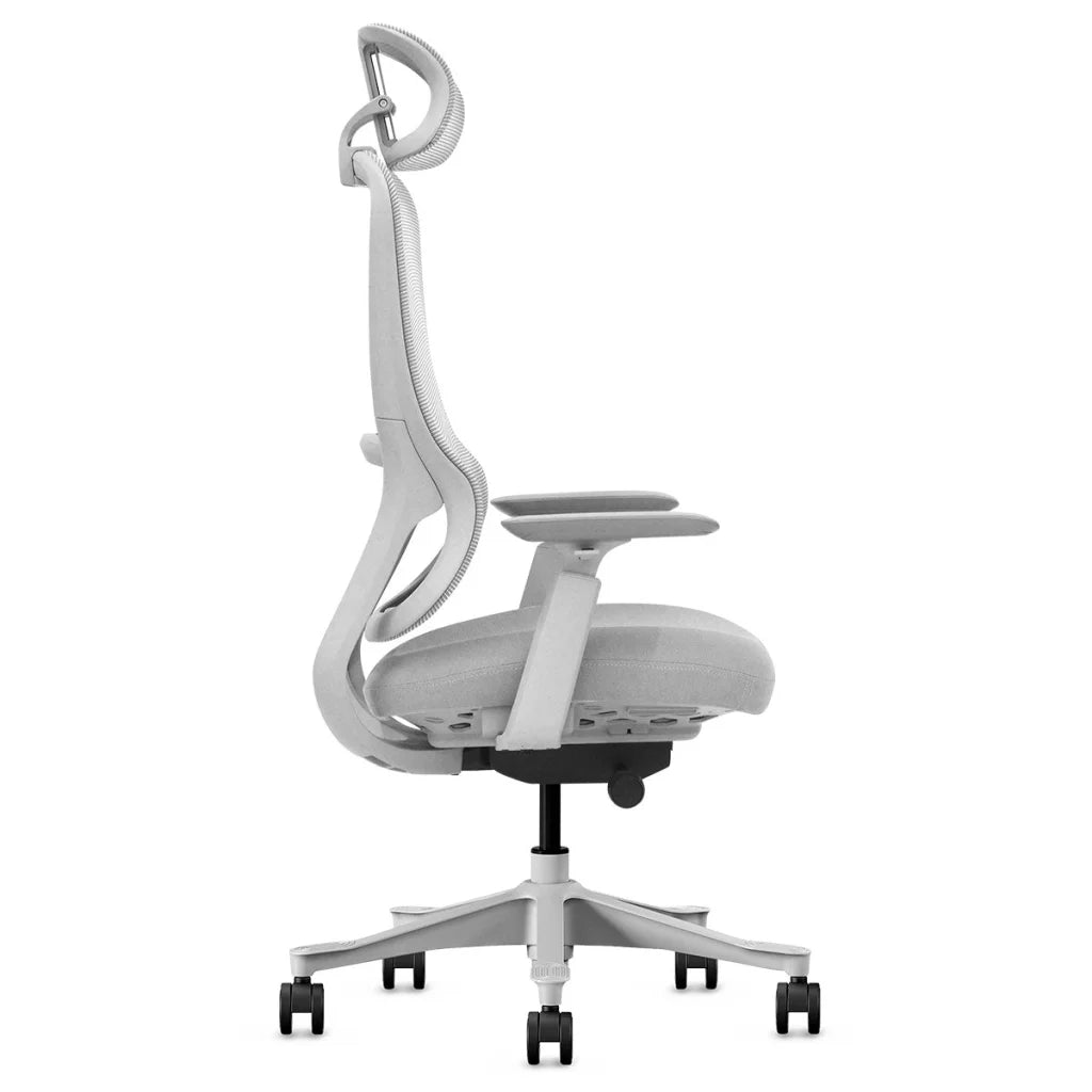 Lifespan Fitness DM8 Ergonomic Office Desk Chair
