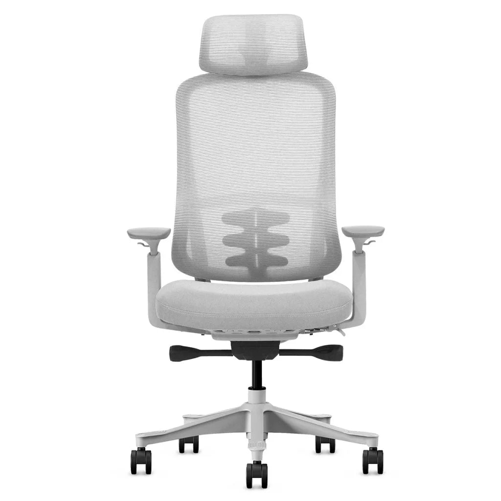 Lifespan Fitness DM8 Ergonomic Office Desk Chair