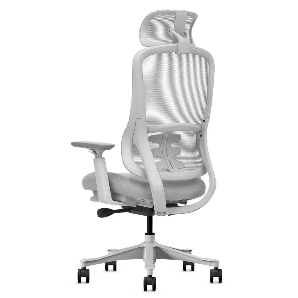 Lifespan Fitness DM8 Ergonomic Office Desk Chair