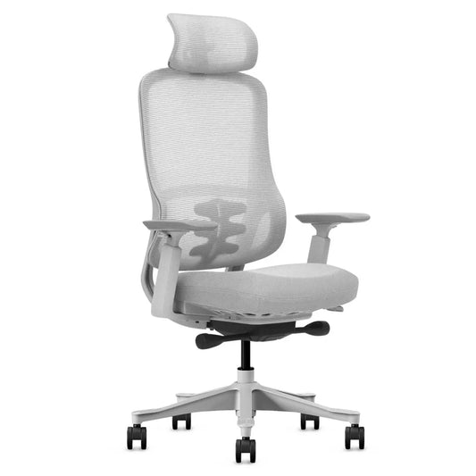 Lifespan Fitness DM8 Ergonomic Office Desk Chair