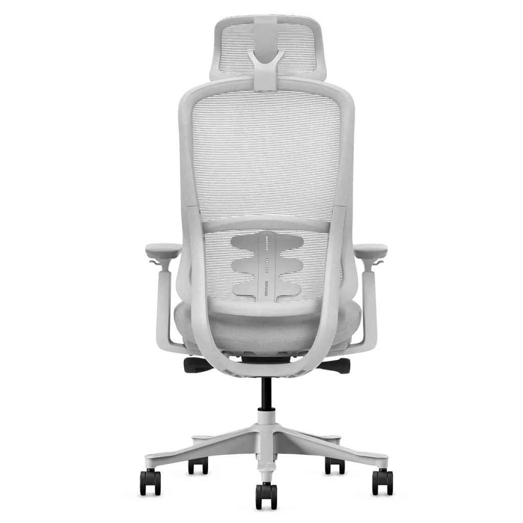 Lifespan Fitness DM8 Ergonomic Office Desk Chair