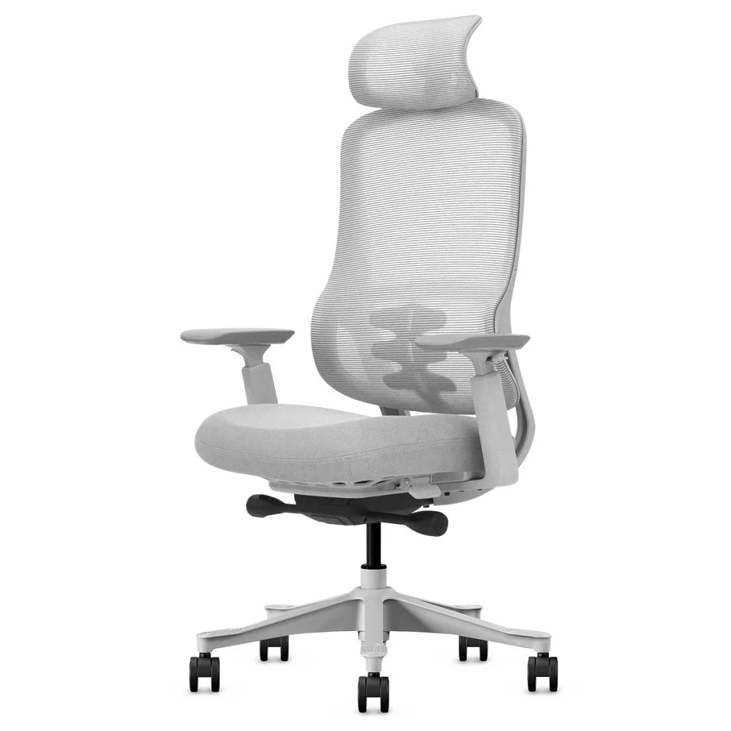 Lifespan Fitness DM8 Ergonomic Office Desk Chair