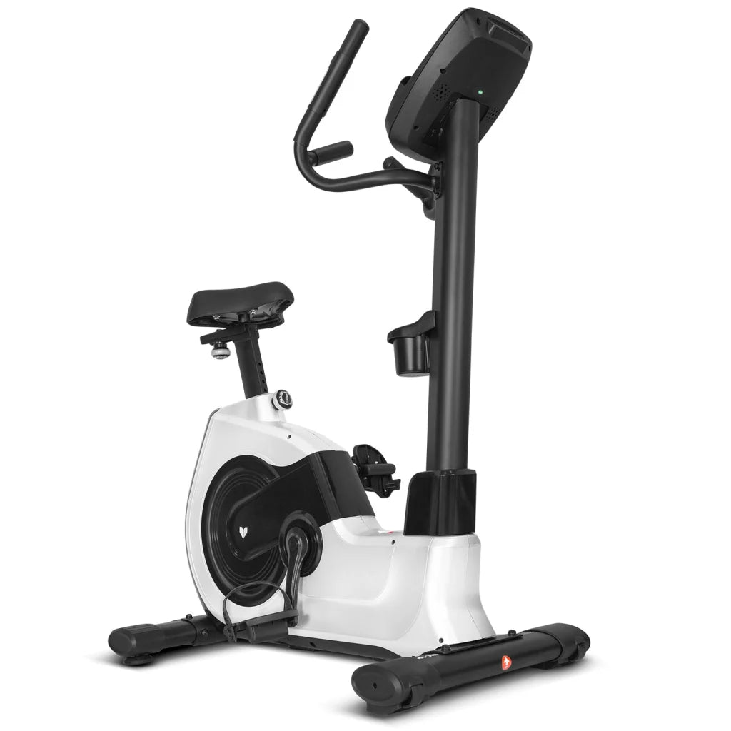 Lifespan Fitness EXC-100 Commercial Exercise Bike - Sports