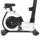 Lifespan Fitness EXC-100 Commercial Exercise Bike - Sports