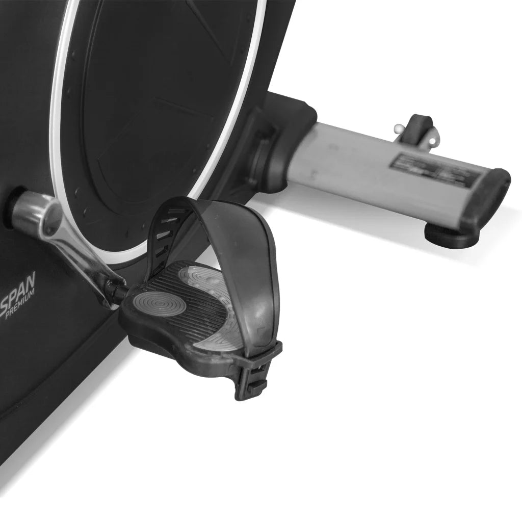 Lifespan Fitness RC-300 Recumbent Exercise Bike - Sports &
