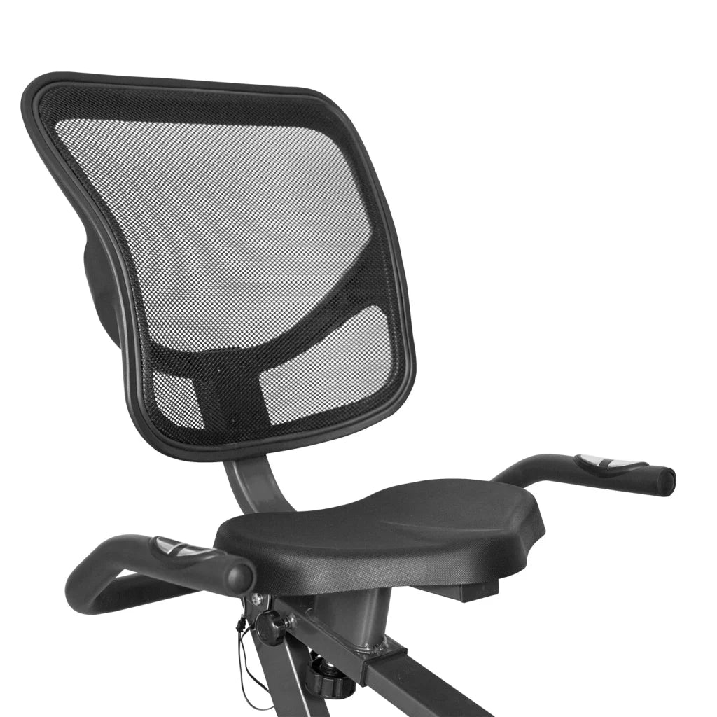 Lifespan Fitness RC-81 Recumbent Exercise Bike - Sports &