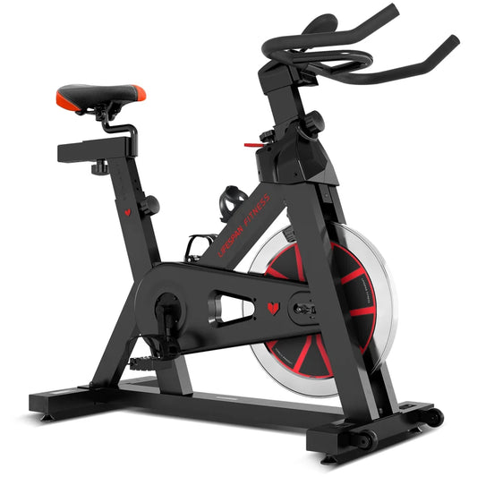 Lifespan Fitness SP-310 M2 Exercise Bike - Sports & Fitness