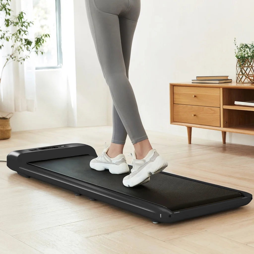 Lifespan Fitness WalkingPad M2 Foldable Treadmill - Sports