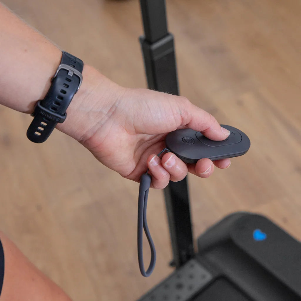 Lifespan V-FOLD Treadmill with SmartStride - Sports &