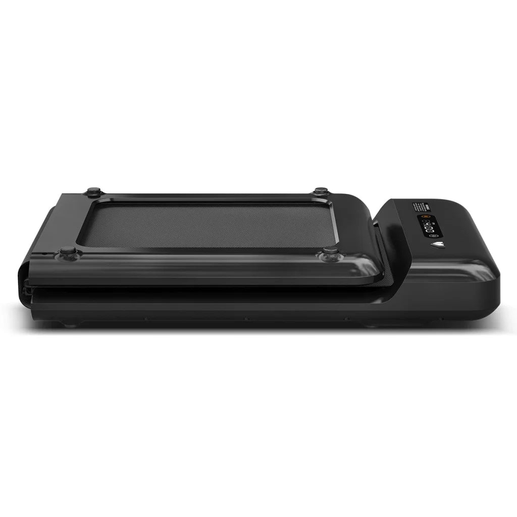 Lifespan WalkingPad M2 Treadmill ErgoDesk Oak Standing Desk