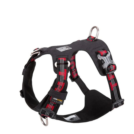 Lightweight 3M Reflective Harness - Black (2XS)