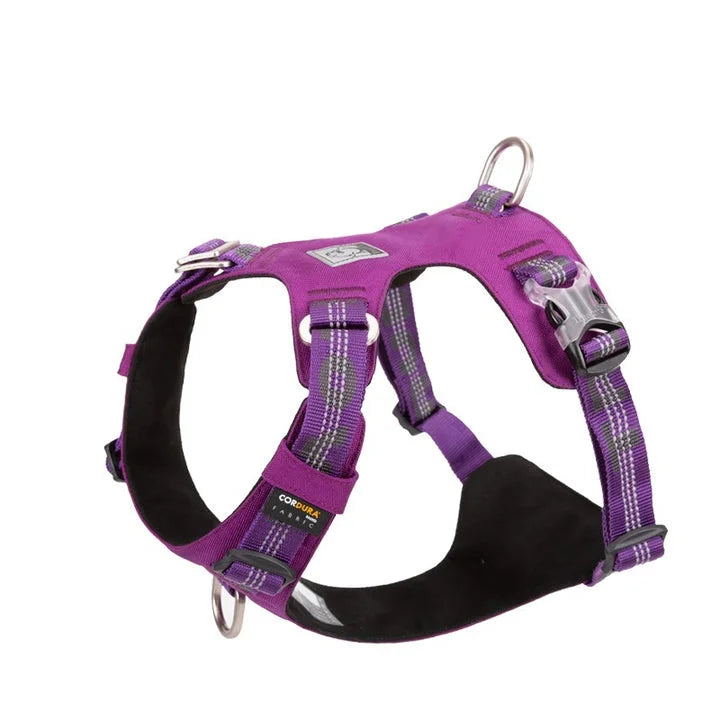 Lightweight 3M Reflective Harness - Purple (L)