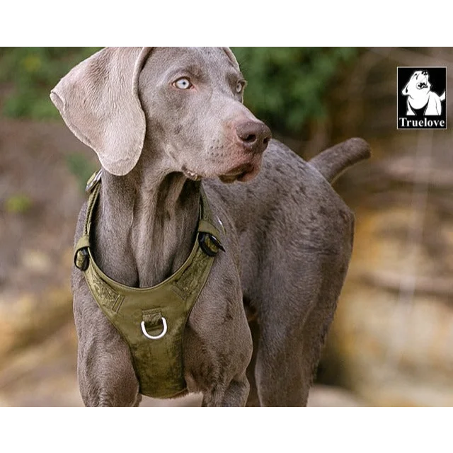 Lightweight Harness - Army Green (XS)