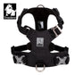 Lightweight Harness - Black (M)