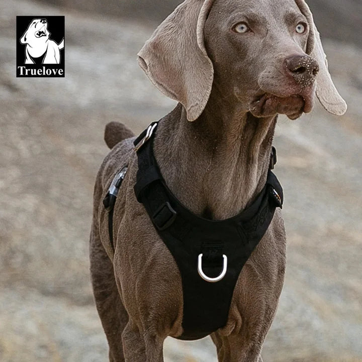 Lightweight Harness - Black (XL)