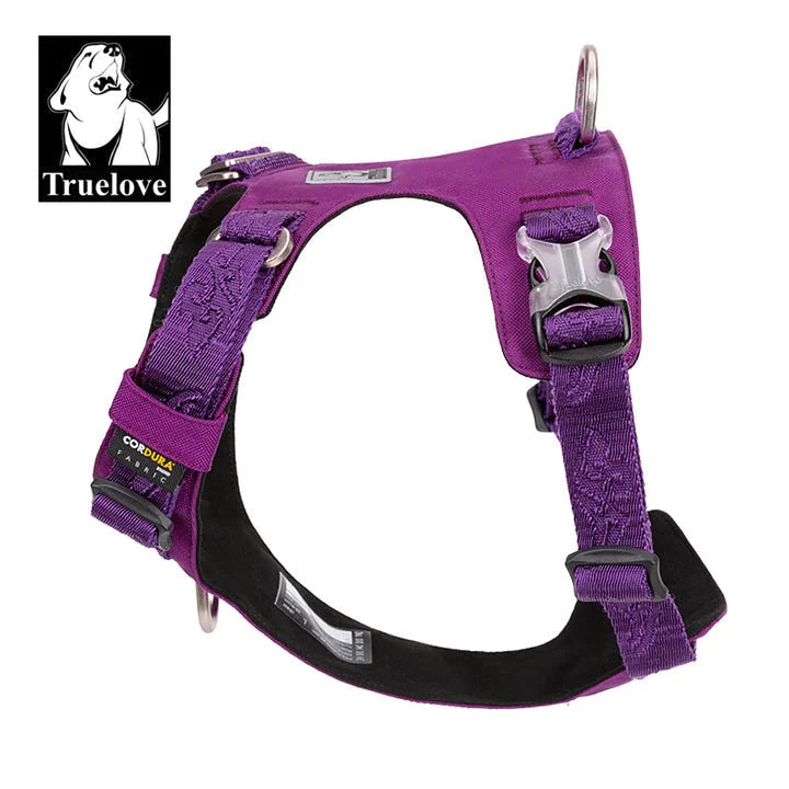 Lightweight Harness - Purple (2XS)