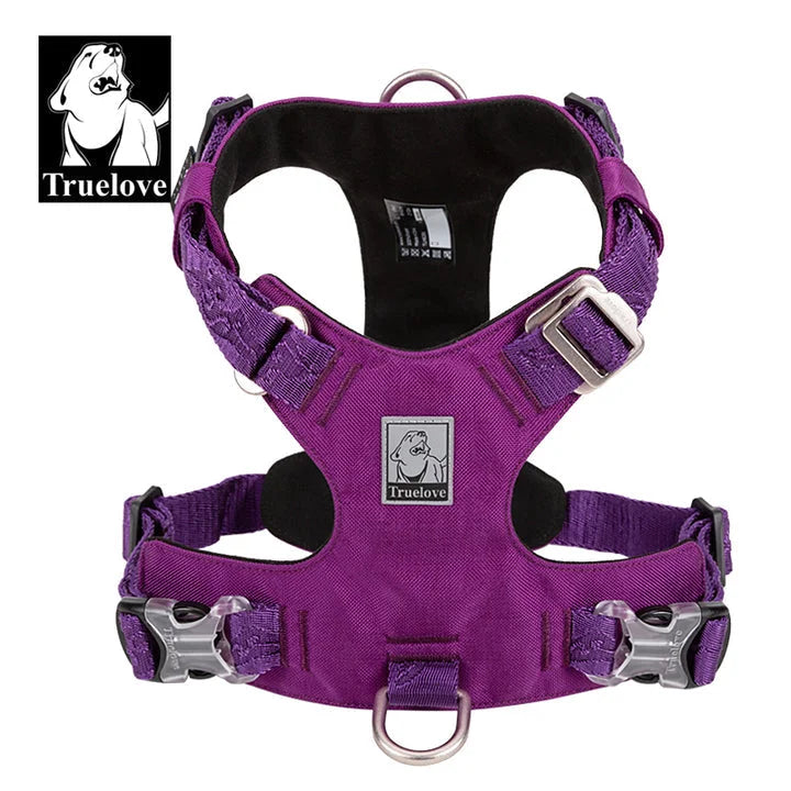 Lightweight Harness - Purple (M)