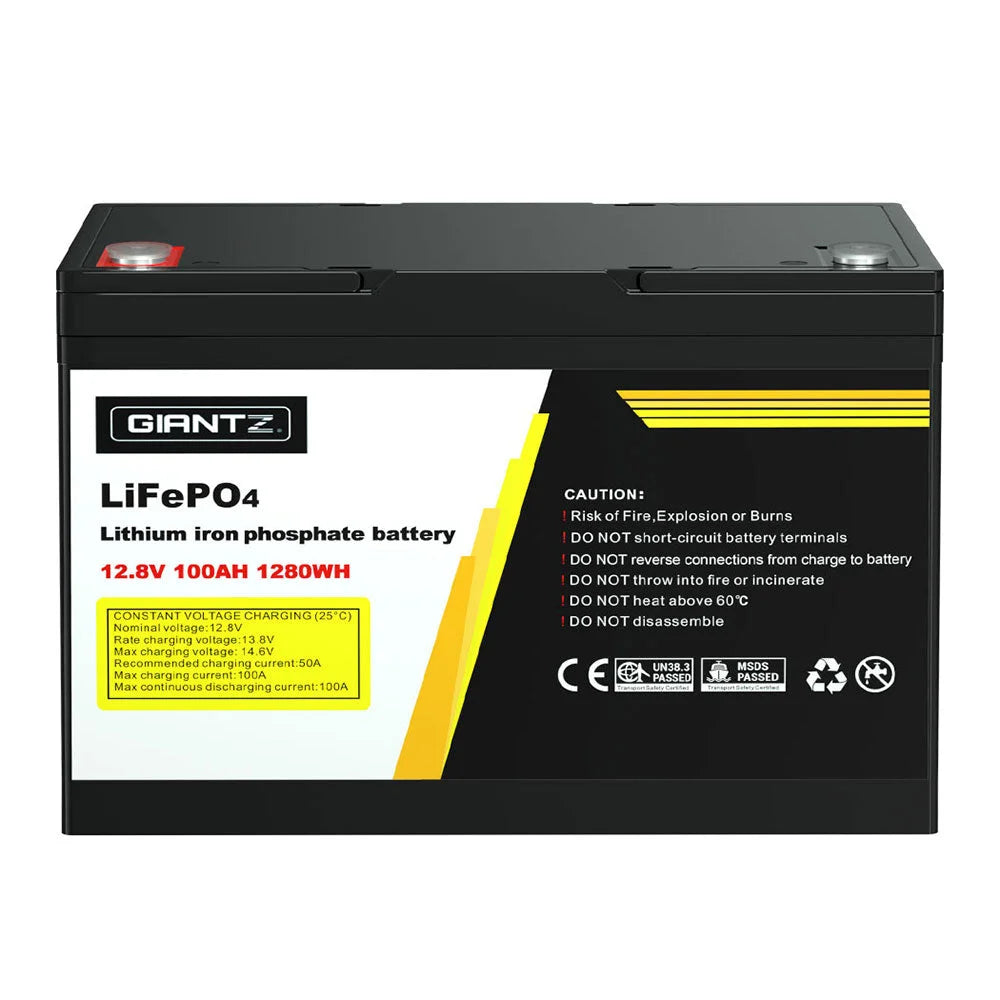 Lithium Iron Battery 100AH 8V Deep