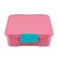Little Lunch Box Co Bento Five - Grape