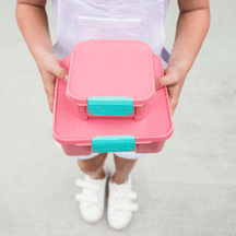 Little Lunch Box Co Bento Two Apple