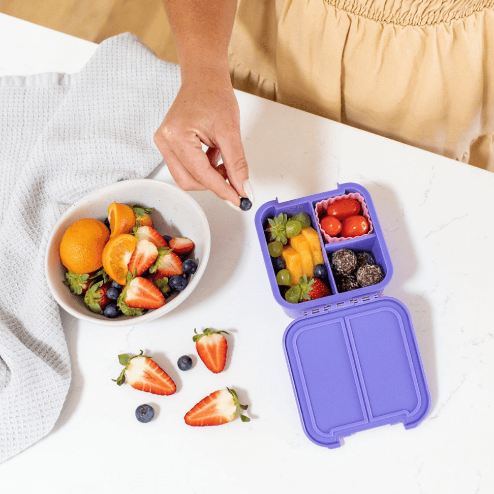 Little Lunch Box Co Bento Two Apple