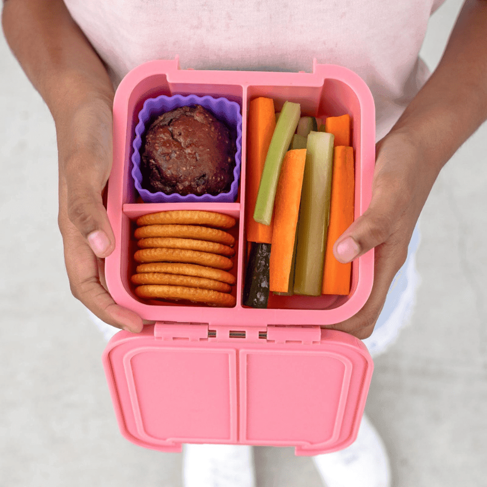 Little Lunch Box Co Bento Two Apple