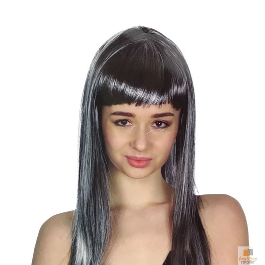 LONG WIG Straight Party Hair Costume Fringe Cosplay Fancy