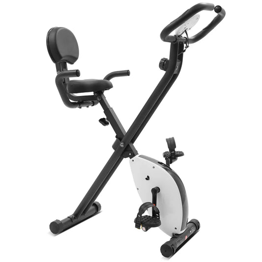 LSG EXER-11 Exercise Bike - Sports & Fitness