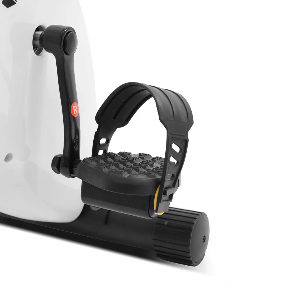 LSG EXER-11 Exercise Bike - Sports & Fitness