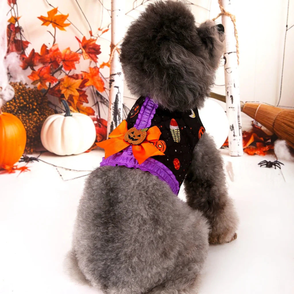 M Halloween Pumpkin Dog Harness Dress - Festive Costume