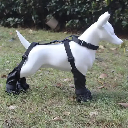 M Waterproof Non-Slip Dog Shoes – All-Season Dog Boots