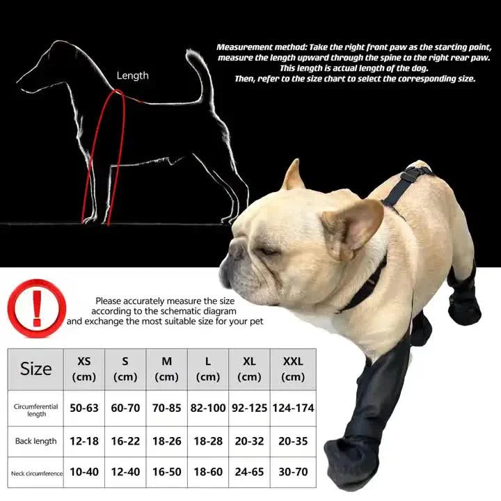 M Waterproof Non-Slip Dog Shoes – All-Season Dog Boots