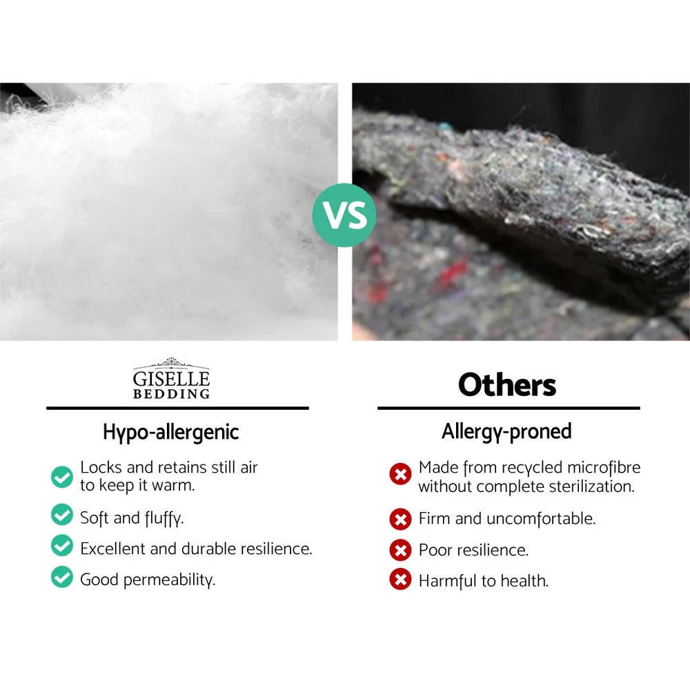 Mattress Topper Double Pillowtop 1000GSM Microfibre Filling