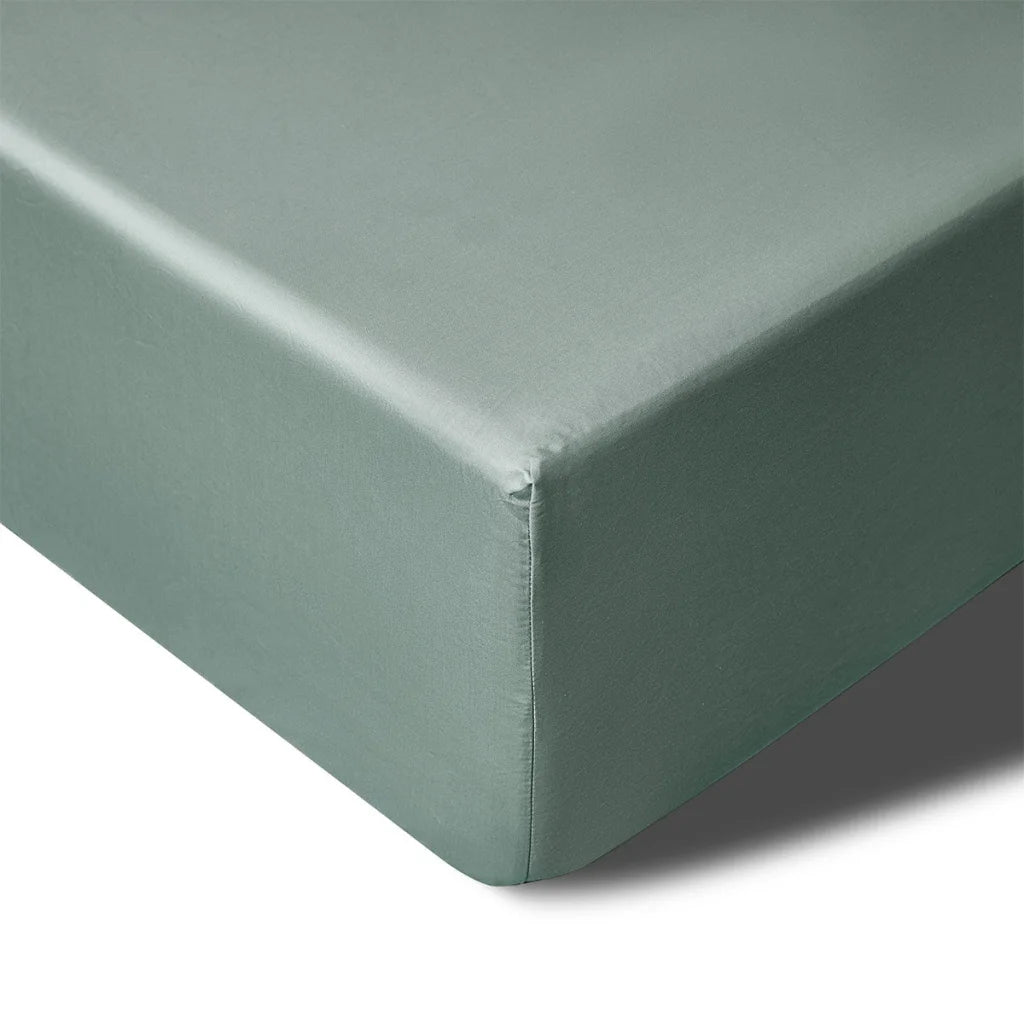 Mega/Super Fitted Sheet King 400TC Sage Bamboo Cotton 50cm