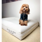 Memory Foam Dog Bed 50x HOPD in Bouclé - Large - Pet Care